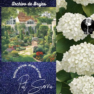 Hortensias en la casa... las niñas no se casan