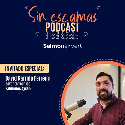 Cap 17 / Temp 2: David Garrido, Gerente Técnico de Salmones Aysén