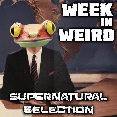 Week in Weird 8-19-25 Week in Weird 8-19-25