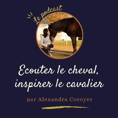 Le consentement: comprendre et l'appliquer avec ton cheval ✨