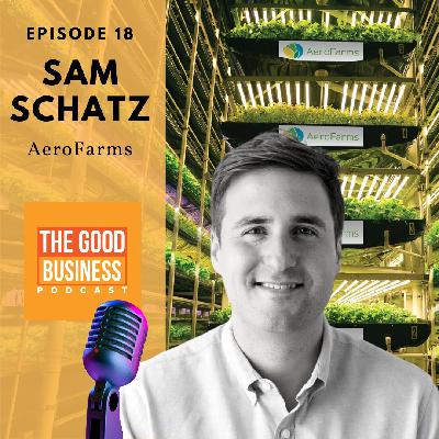 Sam Schatz from AeroFarms, From backstage on Broadway to front stage in the future of Urban Farming Sam Schatz from AeroFarms, From backstage on Broadway to front stage in the future of Urban Farming