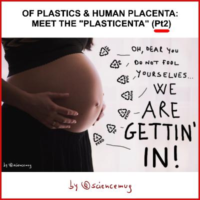 Of plastics & human placenta: meet the "plasticenta" (Pt2/4 - Guess the plastics)
