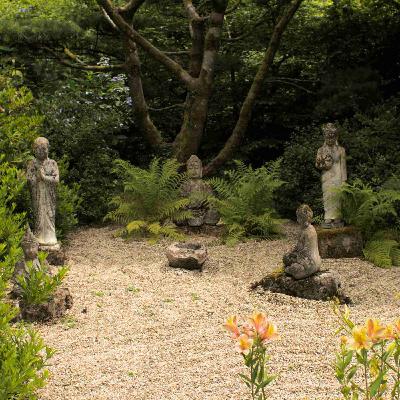 Ep. 531 Meditazione sui Quattro Messaggeri Divini (Devadūta)