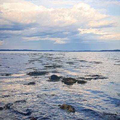 چند تمرین و روش بدردبخور برای پاک کردن انرژی‌ها و افکار منفی 🙏🏻