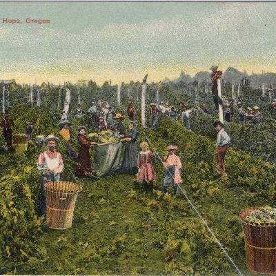 The Beer Frontier: How Oregon Helped Launch Craft Beer