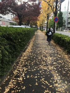 今日の漫画の打ち合わせであったこと(睡眠について) from Radiotalk