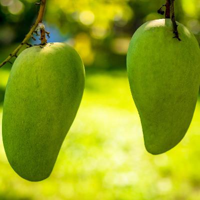 Cuentos, relatos y poemas que Biaani lee: El mango