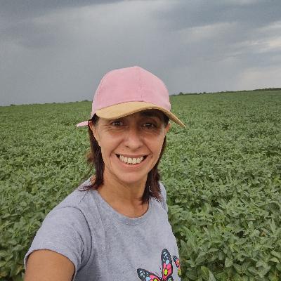 Soja. Estado del cultivo