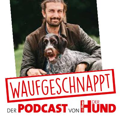 Michael Stähler - Von Familienhunden, Futterbelohnung & Ballwerferei