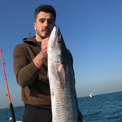 28 - Taj Aslan - Tropical to the UK