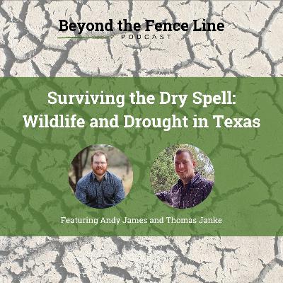 Episode 36 - Surviving the Dry Spell: Wildlife and Drought in Texas with Thomas Janke