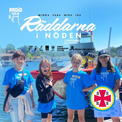 Räddarna i nöden