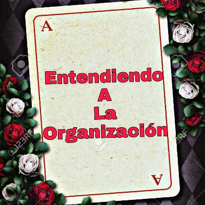 Entendiendo a la Organización