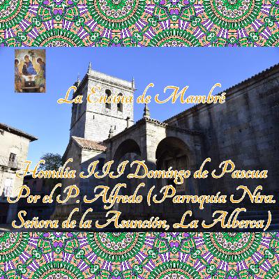 Homilía III Domingo de Pascua