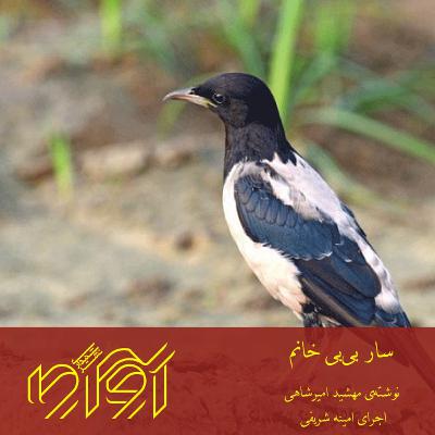 سار بی‌بی خانم