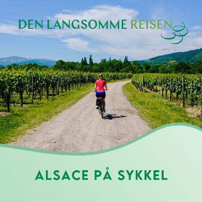 Alsace på sykkel