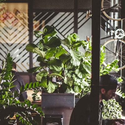 How to be an employee activist for sustainability