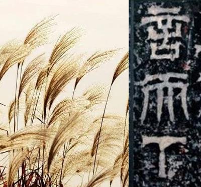 20.《蒹葭》与神谶