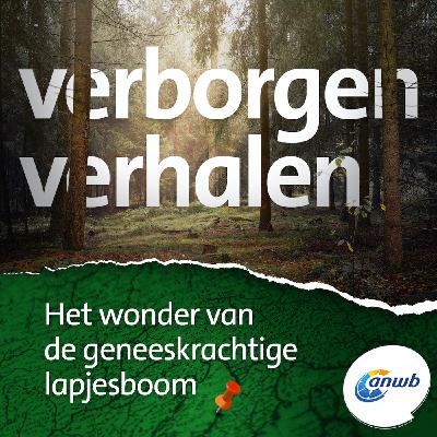 Het wonder van de geneeskrachtige lapjesboom