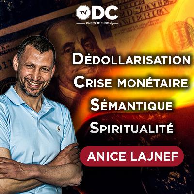 Anice Lajnef - Dédollarisation, crise monétaire et spiritualité (Partie II)