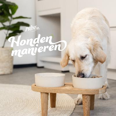 Afl. 25: Waar moet je nou op letten bij het uitkiezen van hondenvoer?