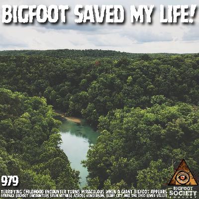 Child Witness Encounters Bigfoot in Henderson, Kentucky and Finds Unexpected Protection Child Witness Encounters Bigfoot in Henderson, Kentucky and Finds Unexpected Protection