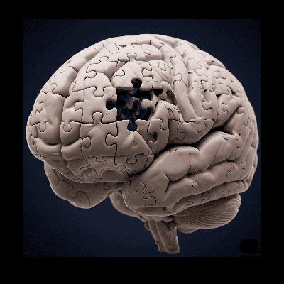 The Dementia Puzzle- Root Causes & Practical Disease Solutions