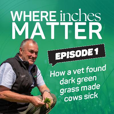 Ep 1 - How a vet found dark green grass patches where leading to issues in cow health
