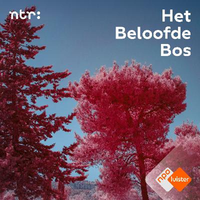 #1 - Zakgeld
