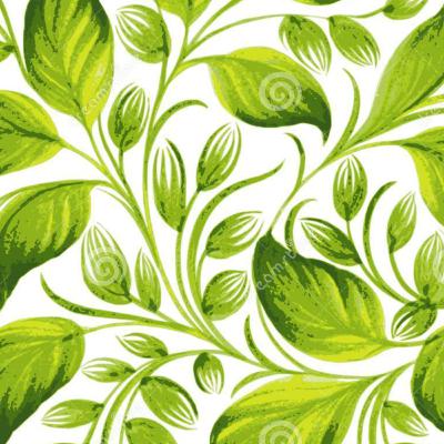 Стебель растения.