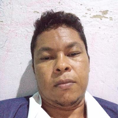 Um caracol no jardim