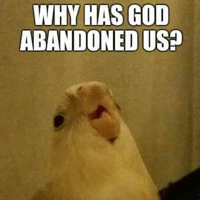 WHGAU EP1: City Of Vices