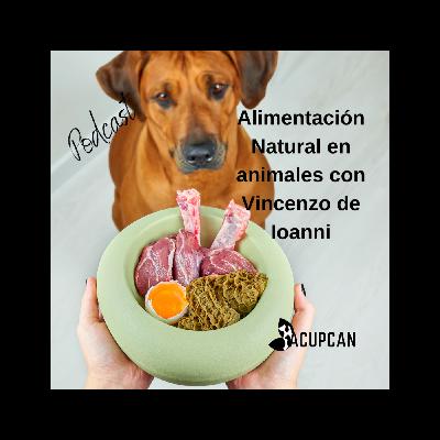 IMPLEMENTACIÓN DE LA ALIMENTACIÓN NATURAL EN PERROS Y GATOS