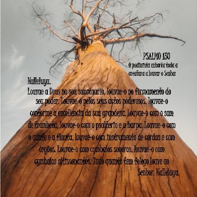Salmo 144