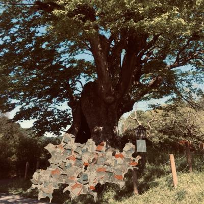 EP2-42 井守(Imori = A little samurai by the water) EP2-42 井守(Imori = A little samurai by the water)