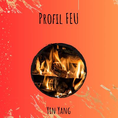 Profil Energétique FEU