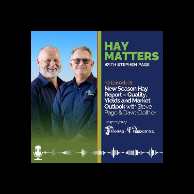 New Season Hay Report – Quality, Yields and Market Outlook