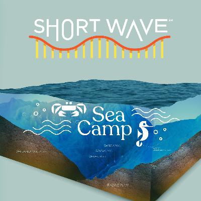 Sea Camp: Why Scientists Want To Map The Entire Seafloor