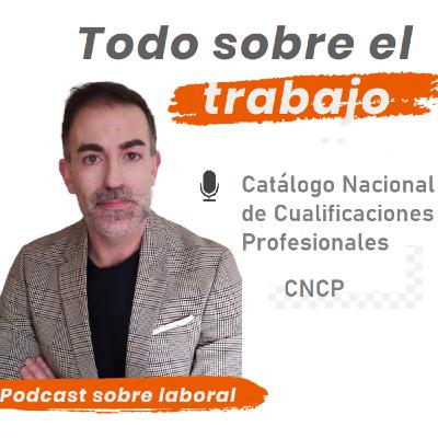 9. Catálogo Nacional de Cualificaciones