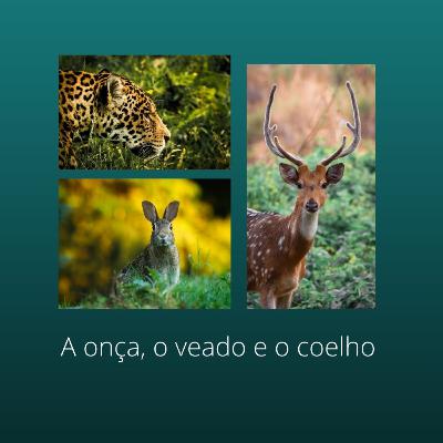 A onça, o coelho e o veado