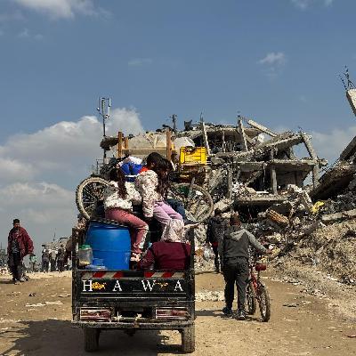 Appello di 560 insegnanti dell’Alto Vicentino per Gaza: “Condanna per i crimini di Israele”