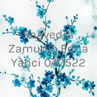 Saavedra Zamudio Edna Yanci 040522