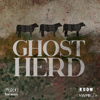 Introducing: Let the Kids Dance!