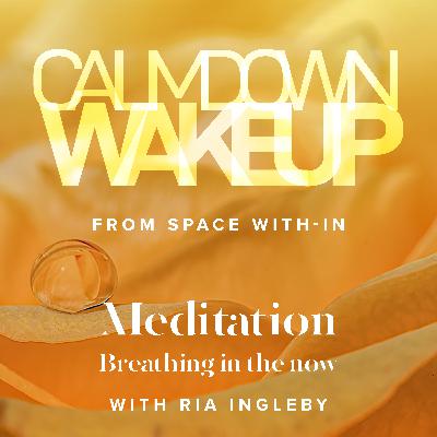 Calm Down, Wake Up (episode 16) Meditation: Breathing in the Now