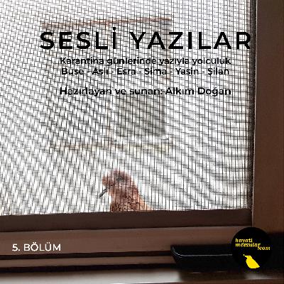 Sesli Yazılar V Sesli Yazılar V