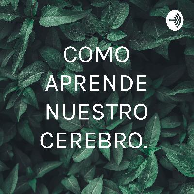 PORQUE TOMO MALAS DECISIONES Y COMO ABORDARLAS.