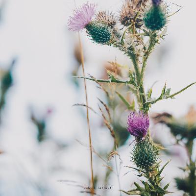 L’avenir des sols, l’importance de leur richesse, leur fertilité 🌱 avec Louise vroylandt