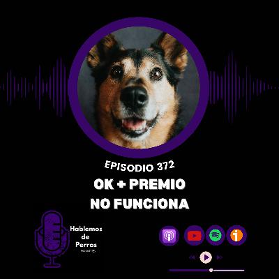 Episodio #372: Ok + premio no funciona Episodio #372: Ok + premio no funciona