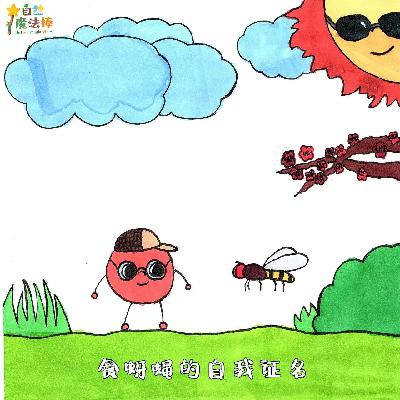 【亲亲自然】食蚜蝇的自我证名