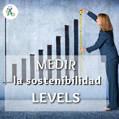 #52 ¿Qué es Levels?